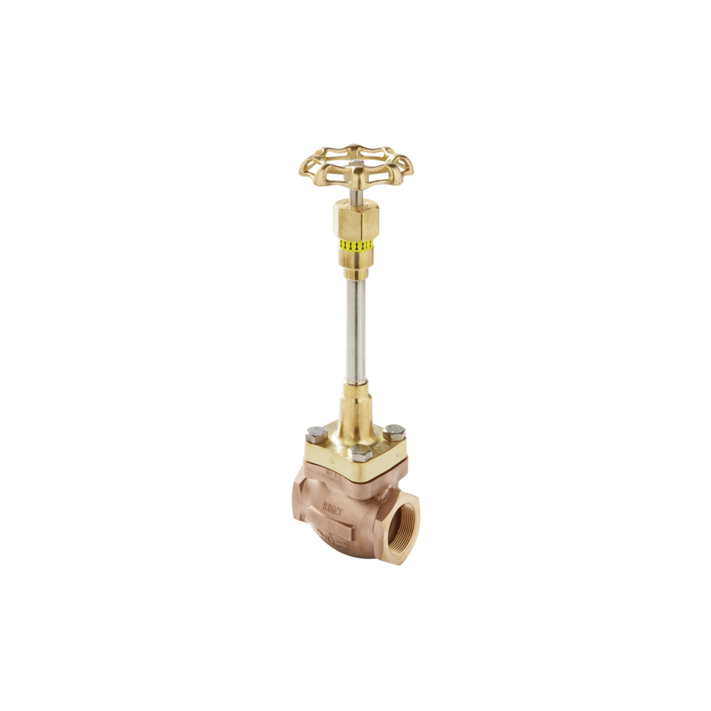 image of globe valves (bronze)